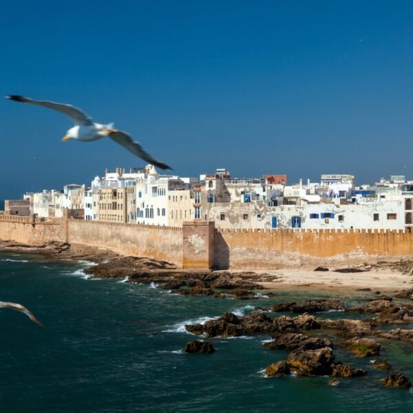 essaouira-day-trip